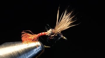 Dry Fly Tying Videos - Blue Ribbon Flies