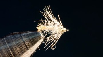 White Miller Soft Hackle