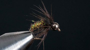 Tommy's Caddis Pupa