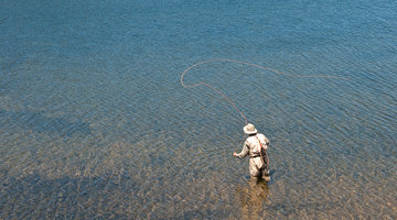 Flawed Casting Stroke