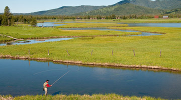 Choosing the Right Fly Line