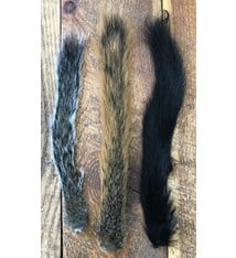 Squirrel Tails