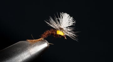 Dry Fly Tying Videos - Blue Ribbon Flies