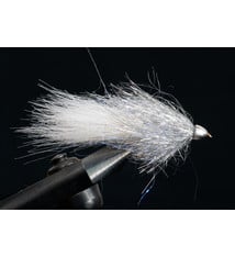 Flagler's Frozen Fox #8