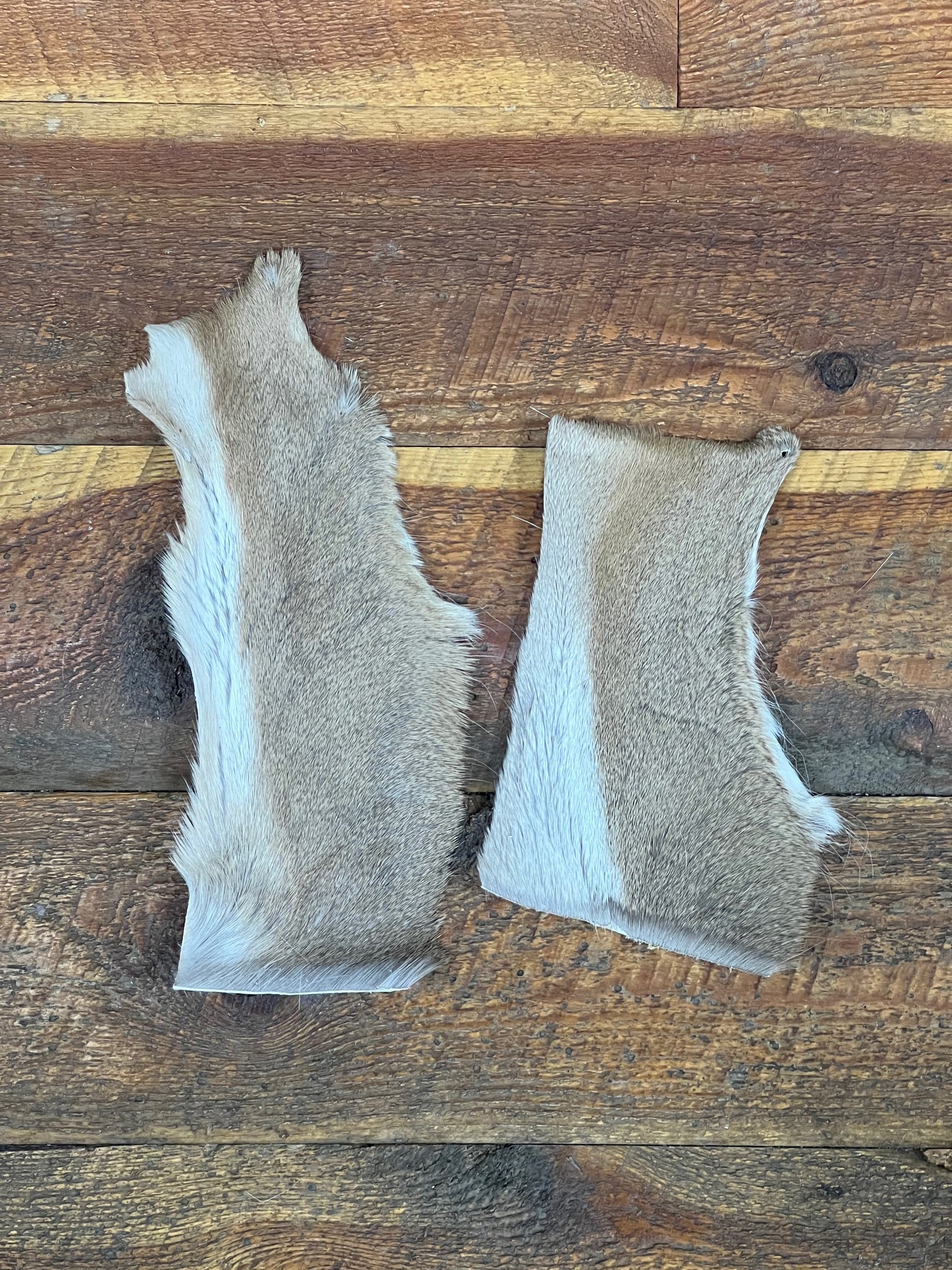 Deer Hock Whole