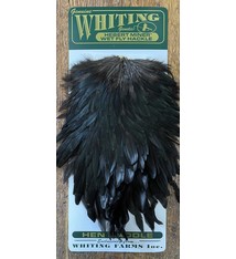 Whiting Hebert Miner Hen Saddle Black