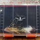 Blue Ribbon Waterproof Articulated Fly Box