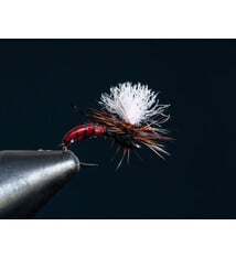 Saliga's Epoxy Ant Red/Black