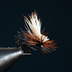 Body Double Caddis