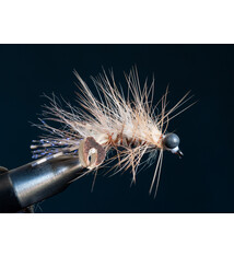 Ritt's Fighting Crawfish Tan #10