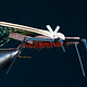 Water Walker Salmonfly