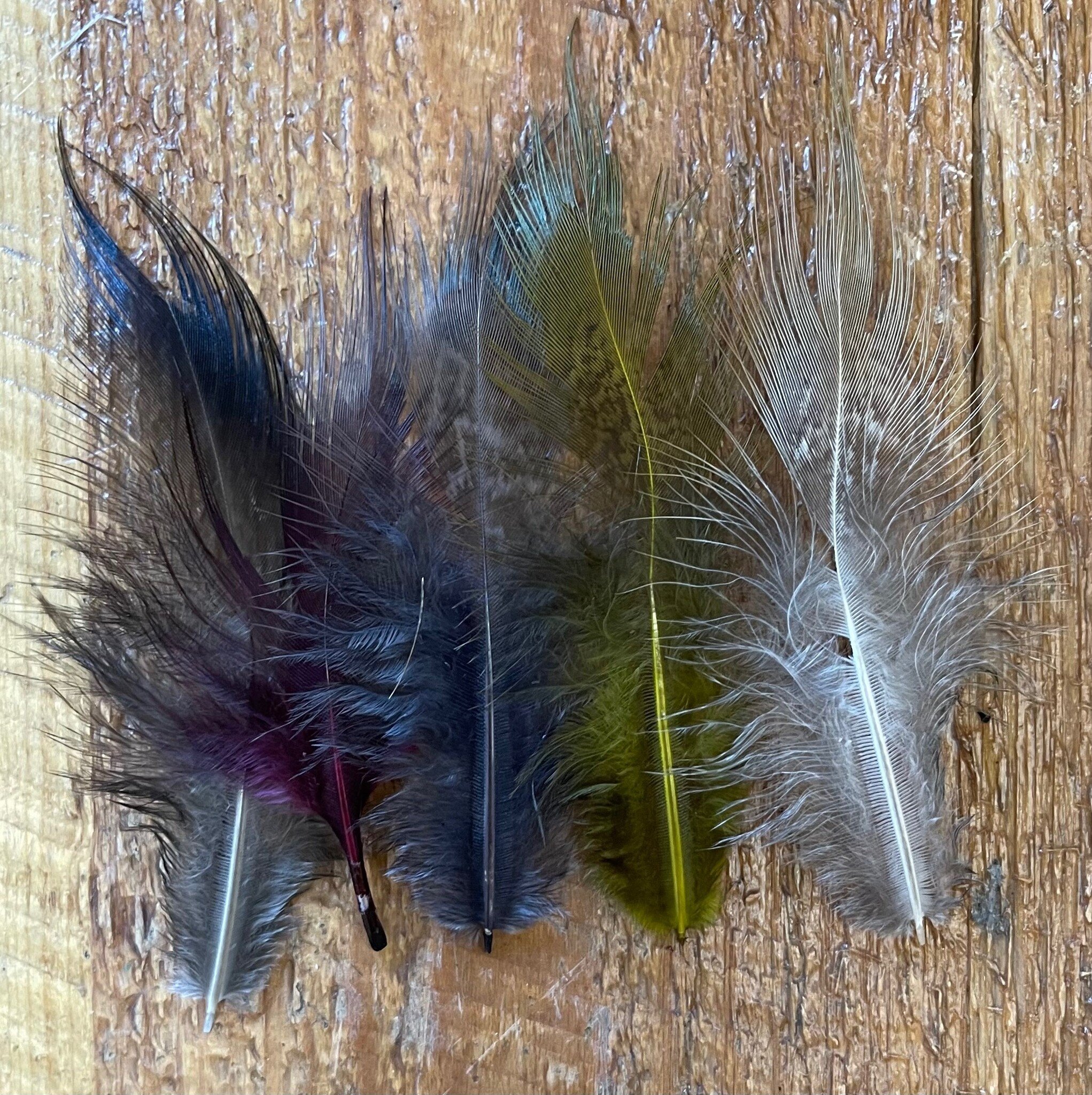 Chevron Hackle - Pheasant Rump Patch – Jerry French Fly Fishing