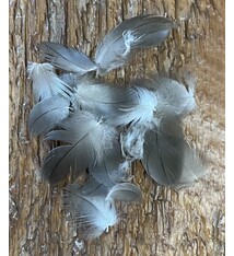 Mallard Wing Soft Hackle Feathers