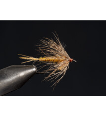 Shakey Variant Gold #10