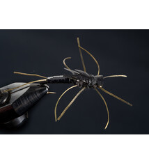 Delektable Kaboom Stone