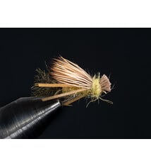 Delektable Sparkle Bug