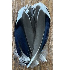 Mallard Speculum McGinty Wing Quills 6 Pairs