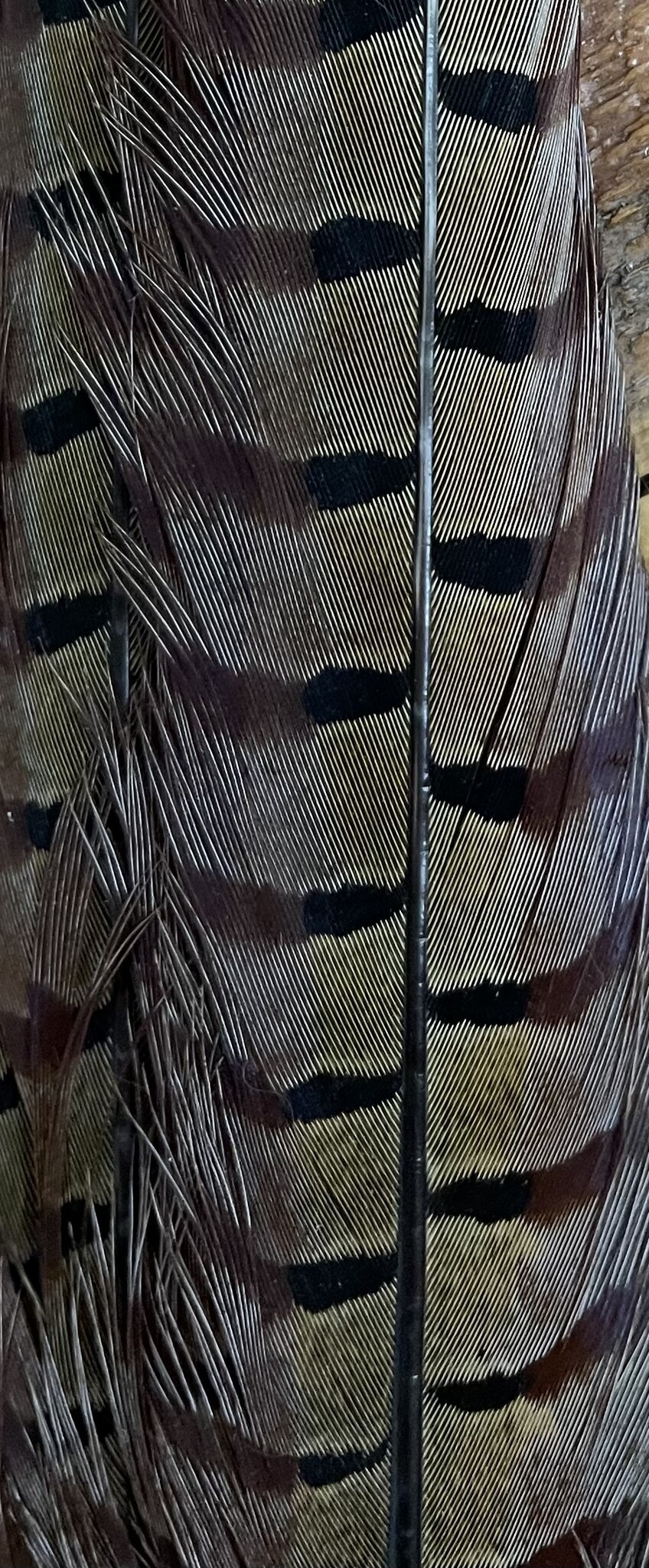Pheasant Tail Clumps