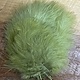 Fish Hunter Wooly Bugger Marabou