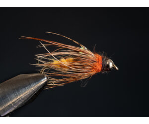 morrish-deep-october-pupa-size