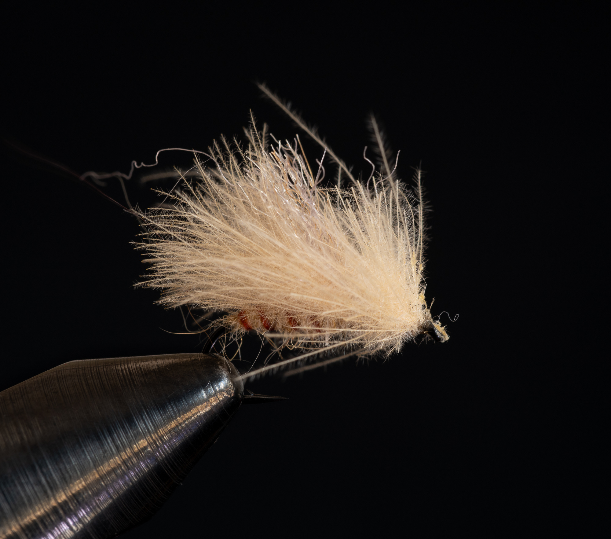 Corn Fed Spruce Moth size 14