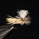 Parachute Spruce Moth size 14