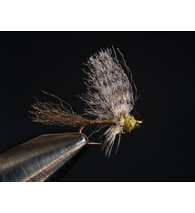 King Wedgewing Flav size 14