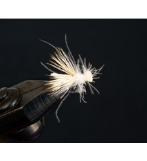 Pint Caddis White Miller size 16