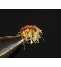 Expecting Scud size 16