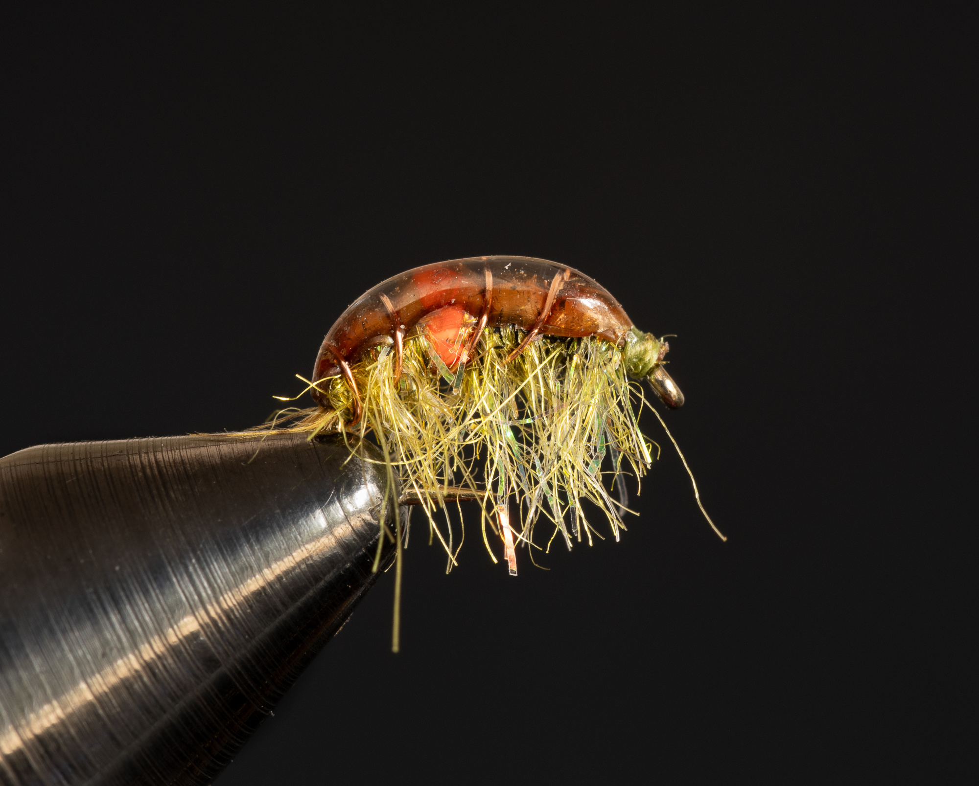 Expecting Scud size 16