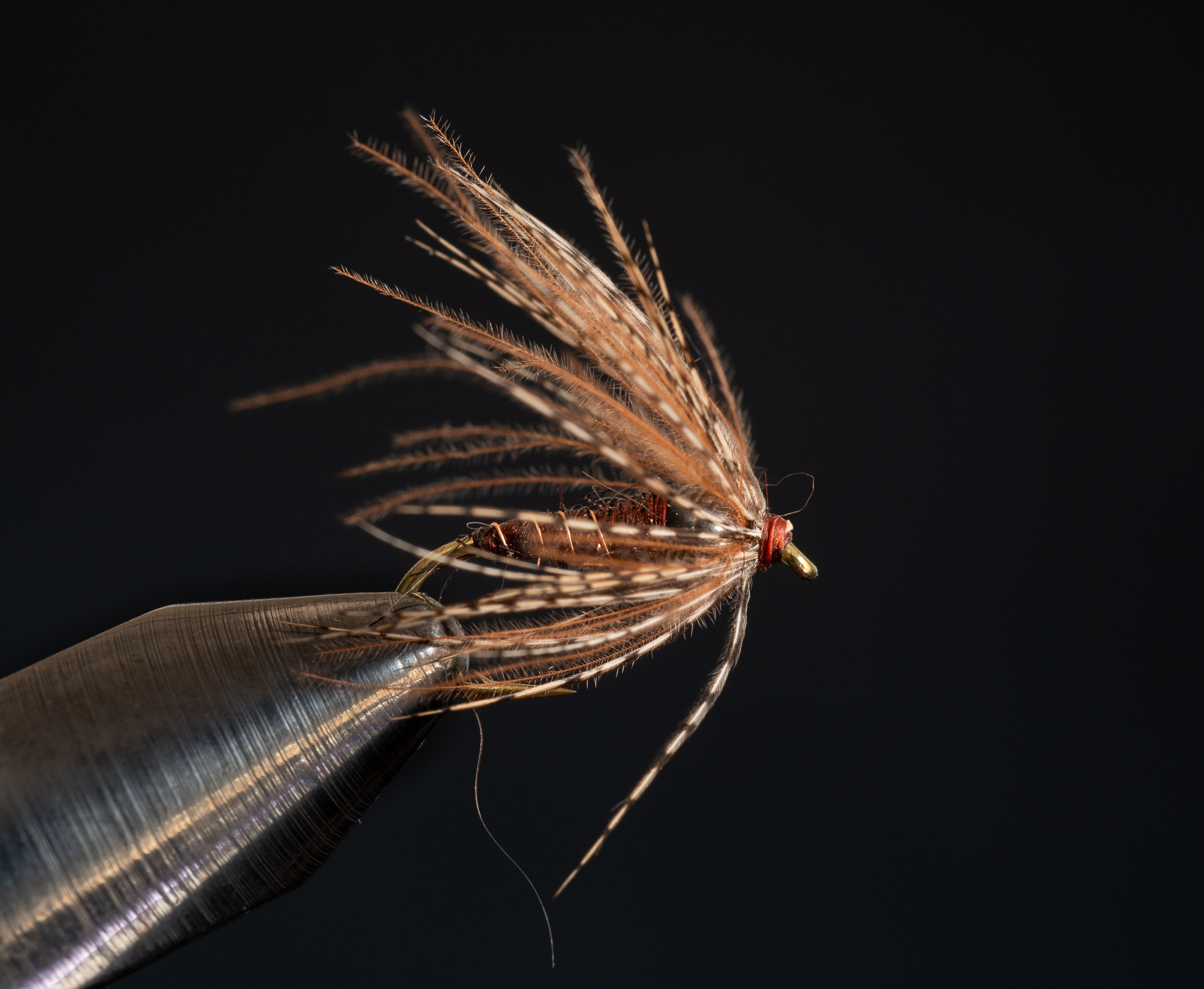 Partridge Soft Hackle Bead - Brown