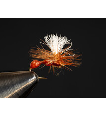 Last Gasp Ant size 16