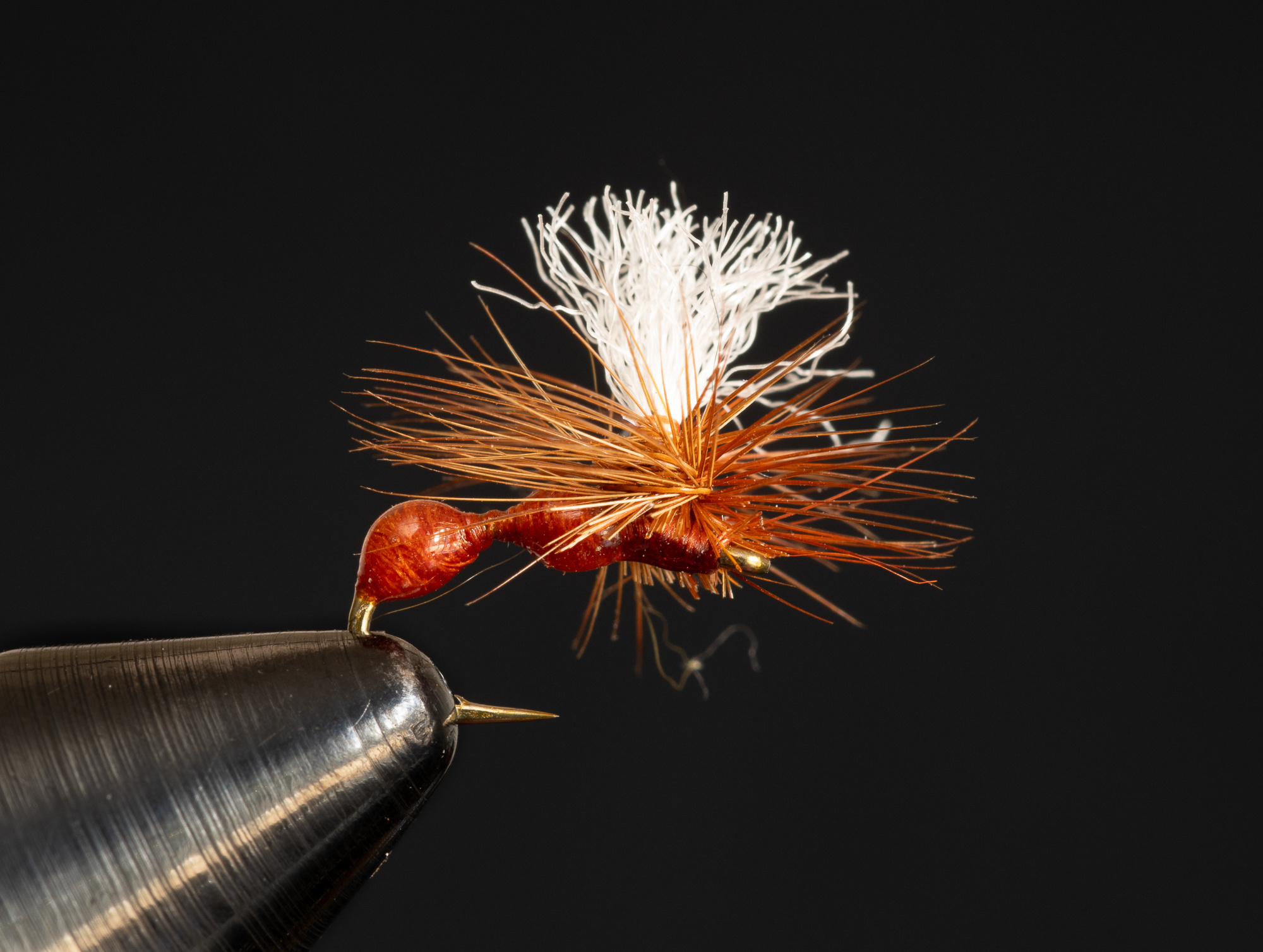 Last Gasp Ant size 16