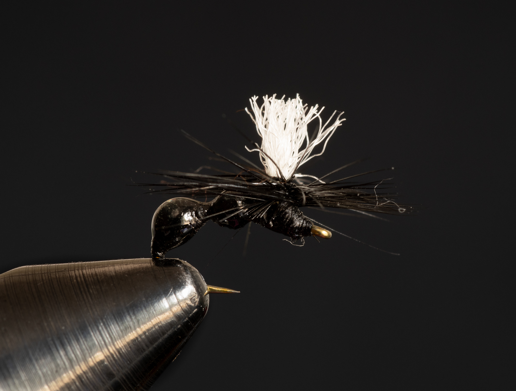 Last Gasp Ant size 16