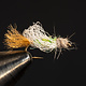 Iris Caddis