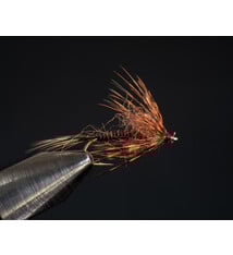 King Swetfly Black/Brown size 12