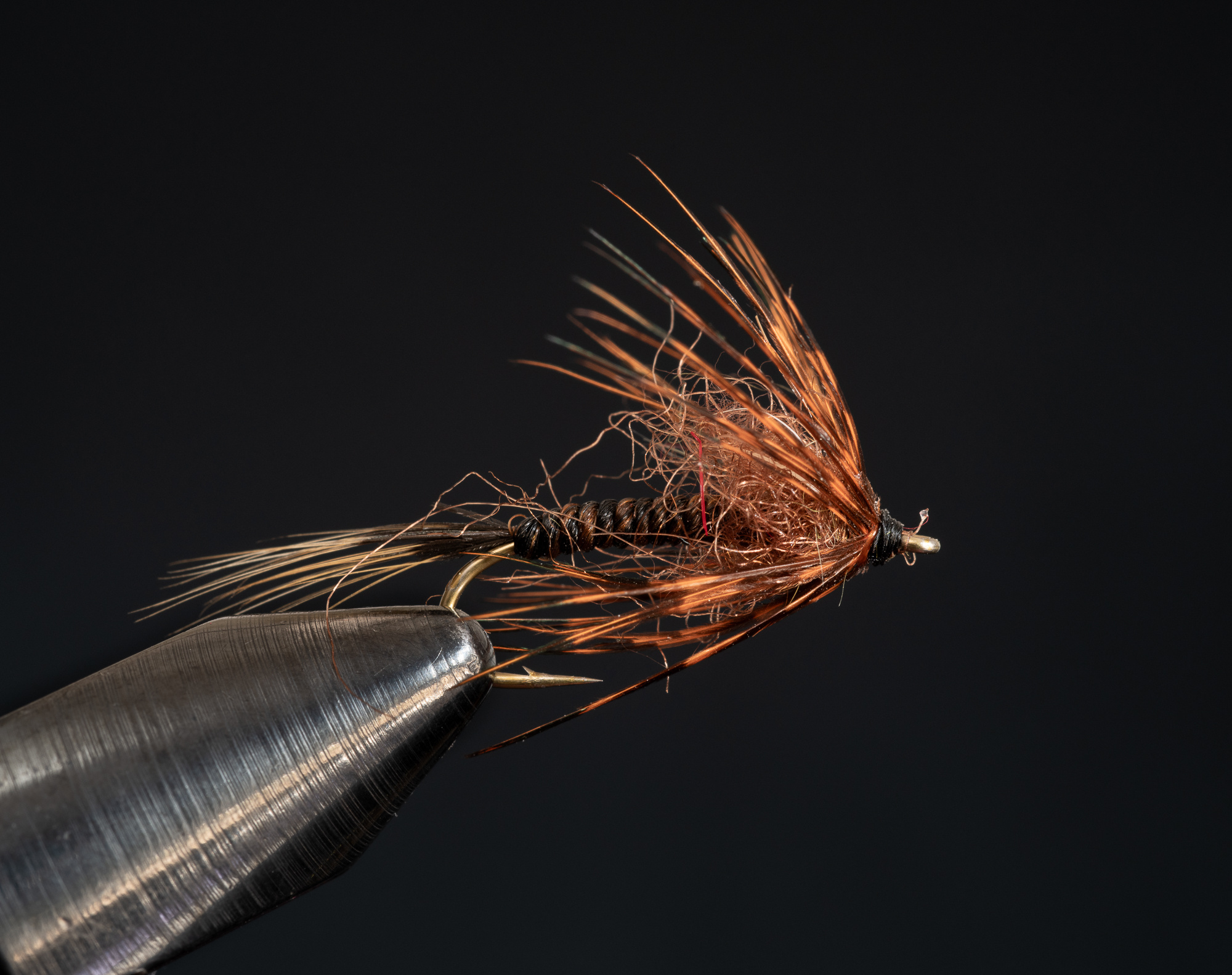 King Swetfly Black/Brown size 12
