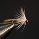 Baetis Soft Hackle