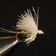 CDC Biot Emerger