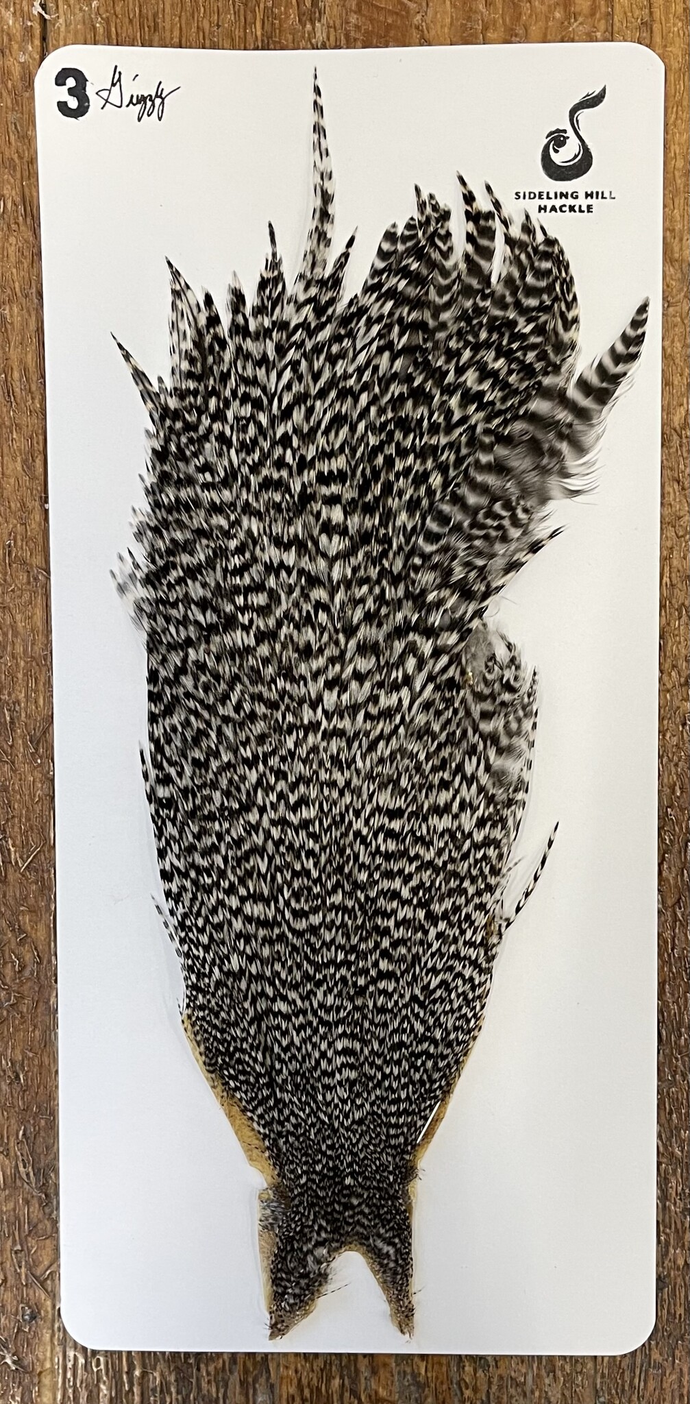 Sideling Hill Hackle Rooster Cape - Grizzly - Grade 3