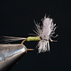Razor Mayfly