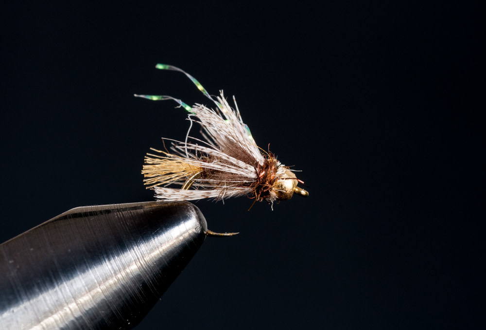 Plan C Caddis