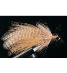 Laid Up Tarpon - Small