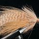 Laid Up Tarpon - Small