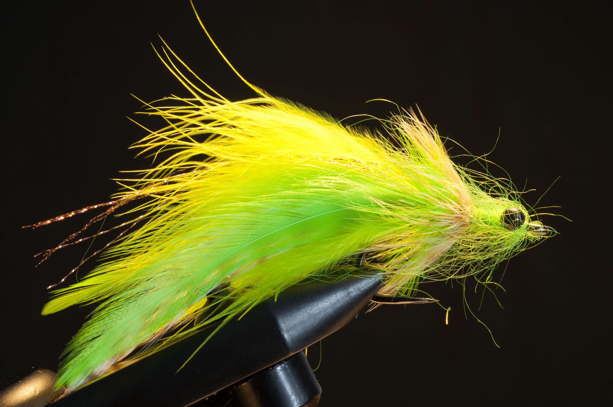 Laid Up Tarpon - Small
