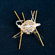 Flexo Crab