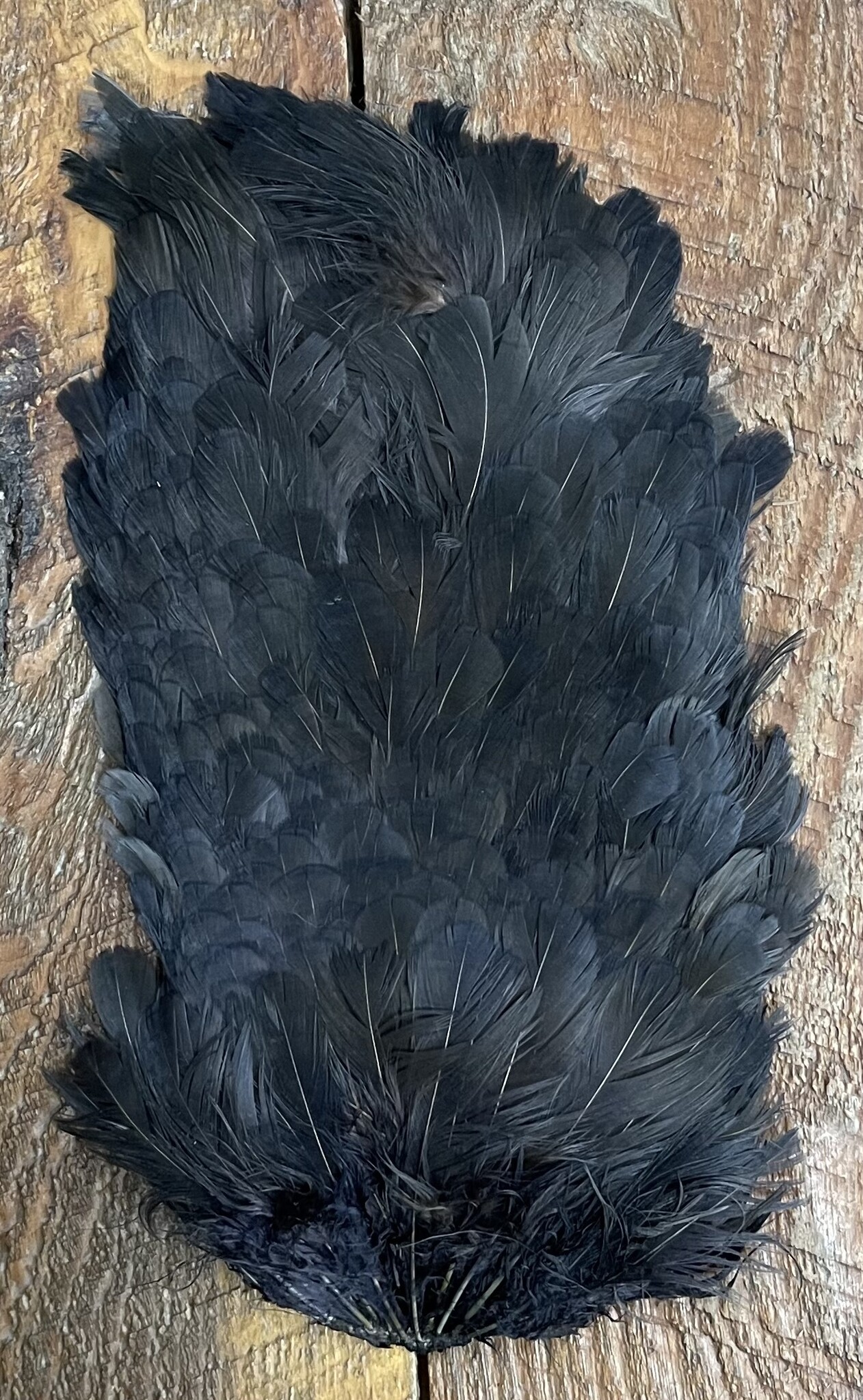 India Hen Saddle Patch