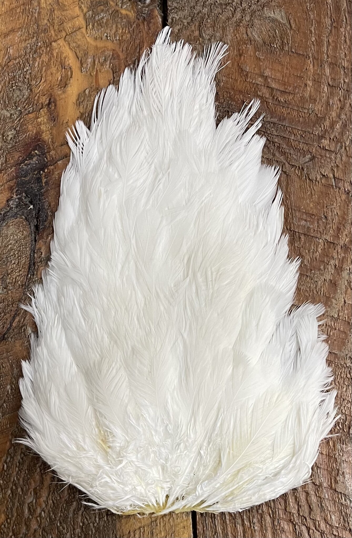 India Hen Saddle Patch