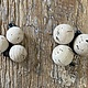 Anglers Accessories CorQs Strike Indicators 3 Pack