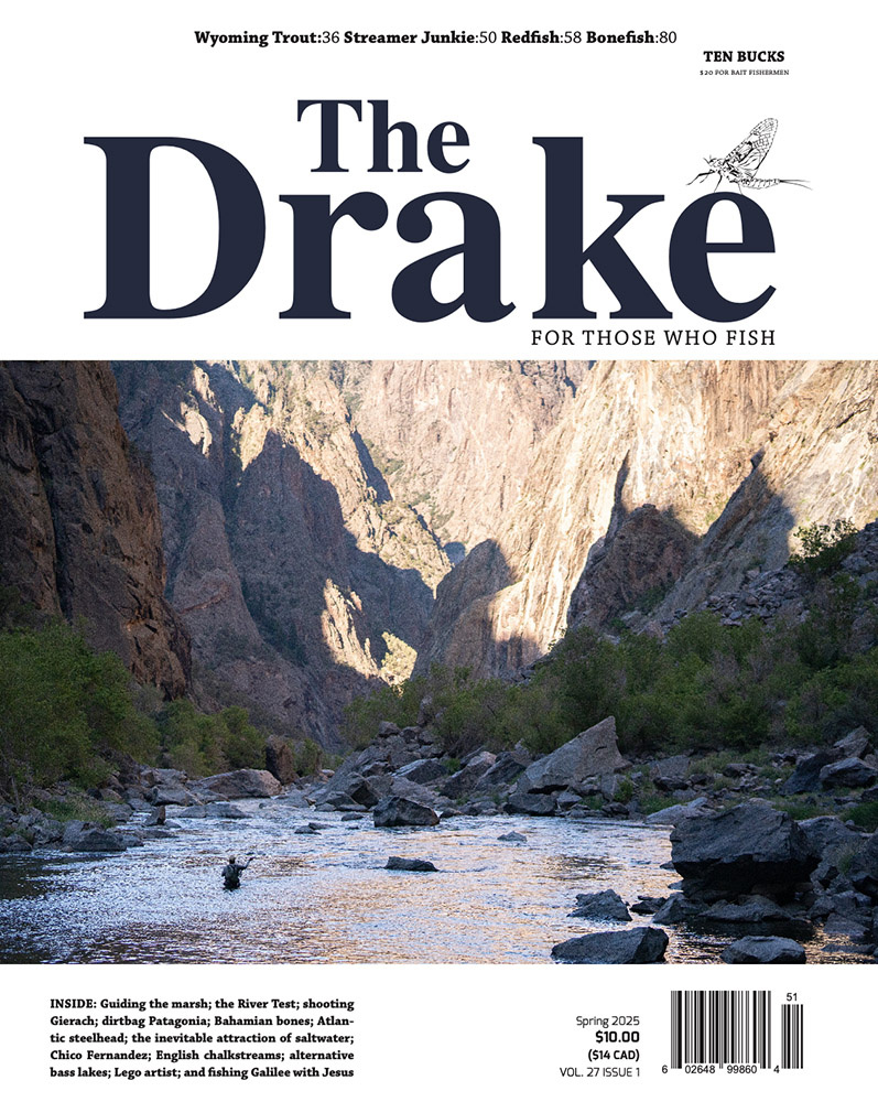The Drake - Winter 2025